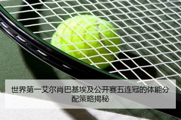 shi-jie-di-yi-ai-er-xiao-ba-ji-ai-ji-gong-kai-sai-wu-lian-guan-de-ti-neng-fen-pei-ce-lve-jie-mi-2-147.jpg
