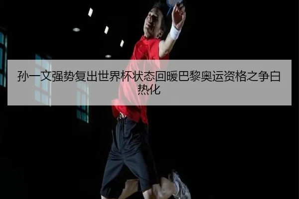 sun-yi-wen-qiang-shi-fu-chu-shi-jie-bei-zhuang-tai-hui-nuan-ba-li-ao-yun-zi-ge-zhi-zheng-bai-re-hua-2-224.jpg