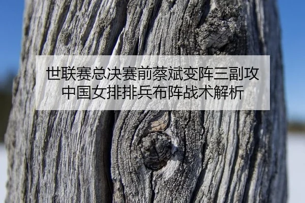 shi-lian-sai-zong-jue-sai-qian-cai-bin-bian-zhen-san-fu-gong-zhong-guo-nv-pai-pai-bing-bu-zhen-zhan-shu-jie-xi-3-695.jpg