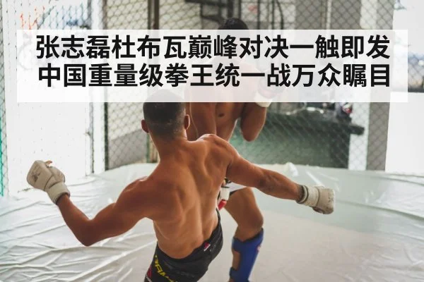 张志磊杜布瓦巅峰对决一触即发 中国重量级拳王统一战万众瞩目