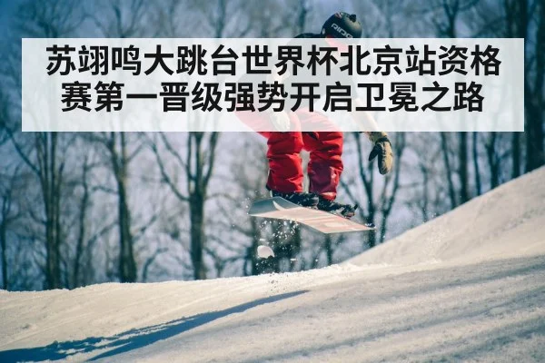 苏翊鸣大跳台世界杯北京站资格赛第一晋级强势开启卫冕之路